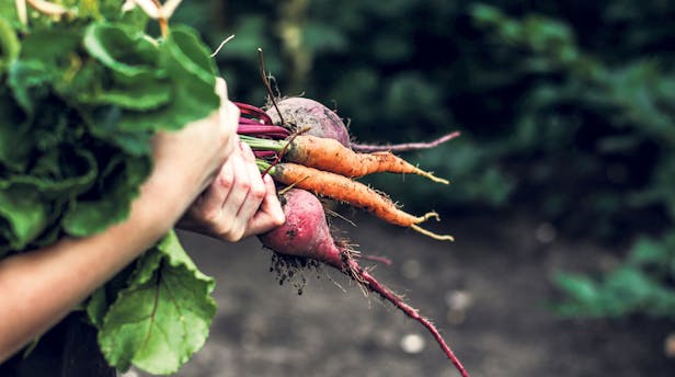 Koop geen biologische waar