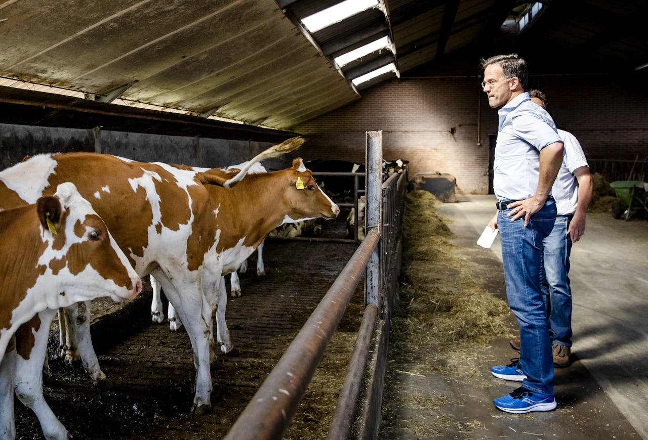 Premier Mark Rutte in juli tijdens een bezoek aan een boerderij in de Peel.