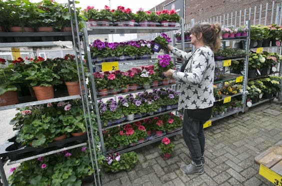 Plantjesmarkt bij Praxis in Arnhem. Bouwmarkten zagen hun omzet stijgen vorig jaar.