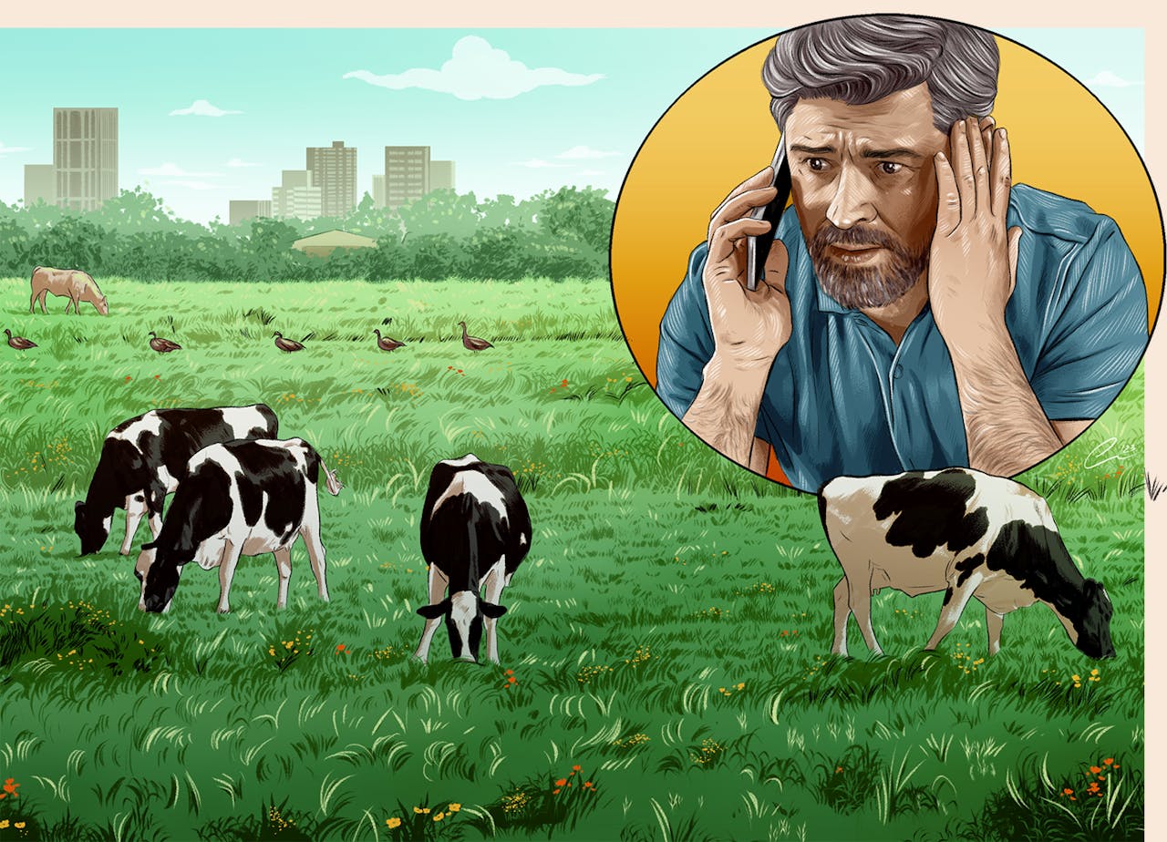 In de vele telefoongesprekken met Grondzaken waren de man ‘gouden bergen beloofd’. Illustratie: Alexandra España voor Het Financieele Dagblad