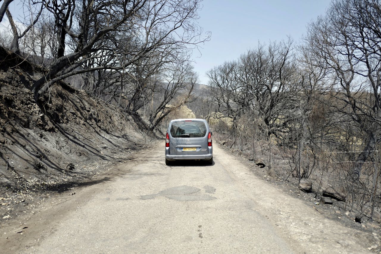 Gevolgen en restanten van een bosbrand op het Italiaanse eiland Sardinië. Foto: ANP/ Richard Brocken.