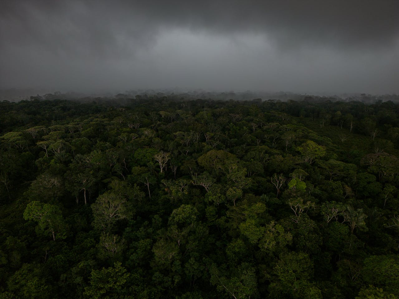 Om bedrijven te helpen voldoen aan de nieuwe Europese duurzaamheidsrichtlijn CSRD, zijn klimaatexperts nodig. Veel klimaatexperts.