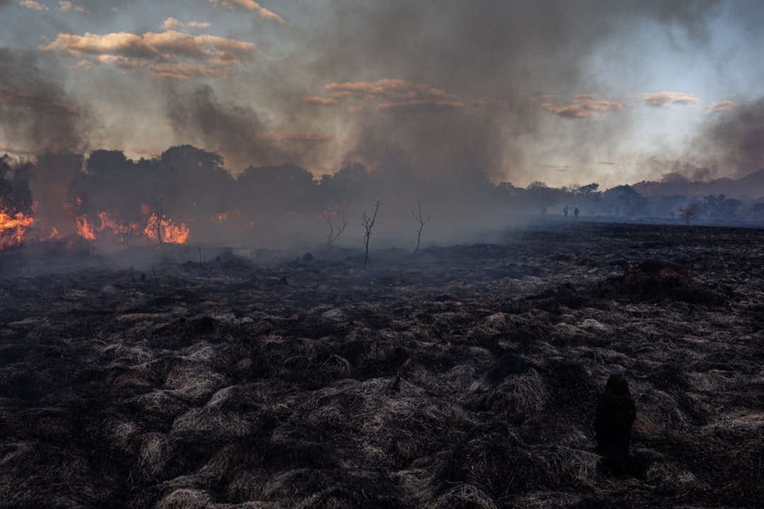Bosbranden trekken door heel Brazilië een spoor van vernieling. Vaak zijn die aangestoken, en de daders lastig aan te wijzen. Door het vuur verdwijnt er waardevol natuurgebied, en de vrijgekomen CO2 draagt bij aan de opwarming van de aarde.