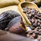 Spectaculaire stijging van cacaoprijs voedt vrees voor ongelukken op de beurs