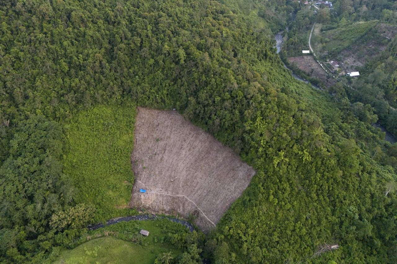 Een stuk land in Indonesië is ontdaan van bomen, voor de productie van maïs.