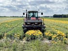 Zorgen over voorzorg: uitspraak over pesticiden maakt landbouwers ongerust