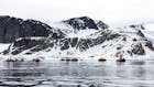 Noorwegen scherpt regels aan voor spotten ijsberen op Spitsbergen