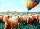 Landende luchtballon leidt tot tragedie onder kudde schapen en financiële strop voor fokker  