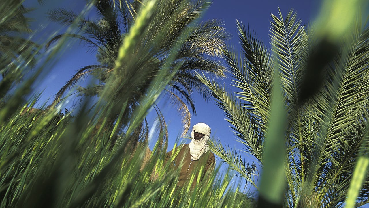 L’Italia investe miliardi in Africa L’Italia investe miliardi in Africa