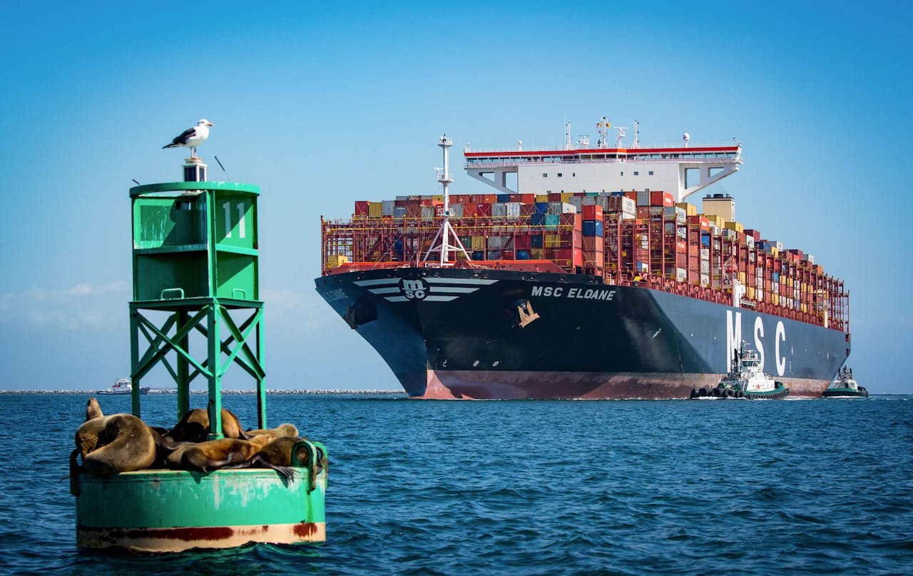 De Mediterranean Shipping Co. (MSC) Eloane arriveert in de zeehaven van Los Angeles. De groei van de wereldeconomie zal dit jaar volgens de Oeso 2,9% bedragen, 0,3 procentpunt lager dan geraamd.