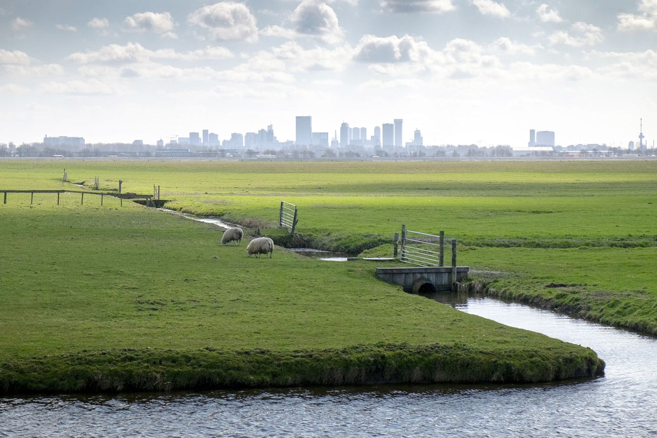 De polder Schieveen bij Rotterdam. Langs het gebied wordt een nieuw stuk A16 aangelegd. Nu waren veel meer bezwaren mogelijk geweest tegen dit project door een uitspraak van de Raad van State.