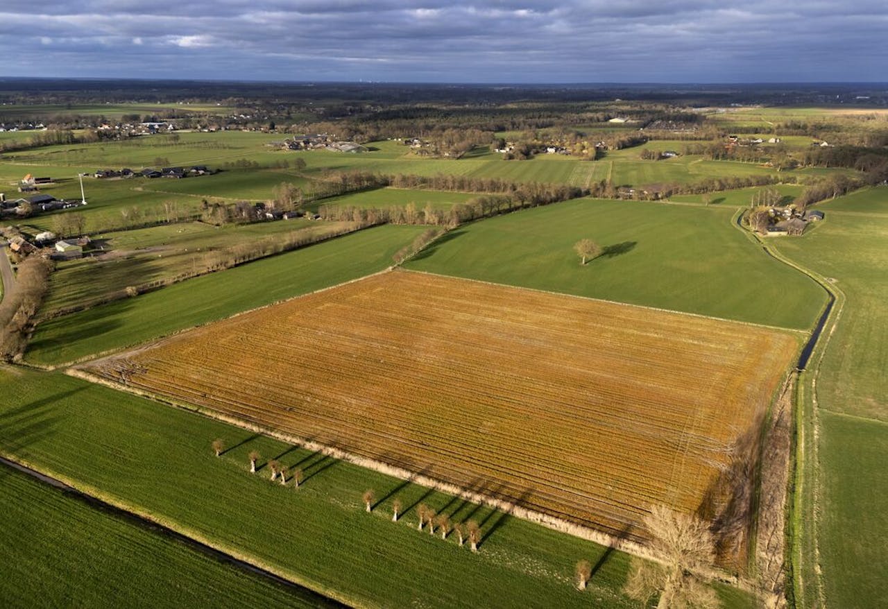 Een akker in Twente kleurt geel na gebruik van onkruidverdelger glyfosaat.