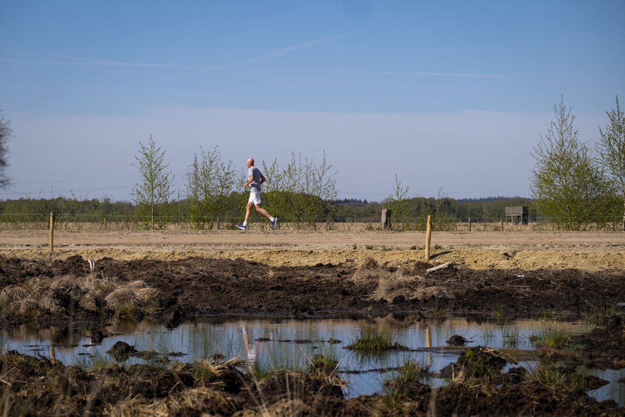 Het Wierdense Veld bij Nijverdal, een Natura 2000-gebied waar de natuur beschermd moet worden.