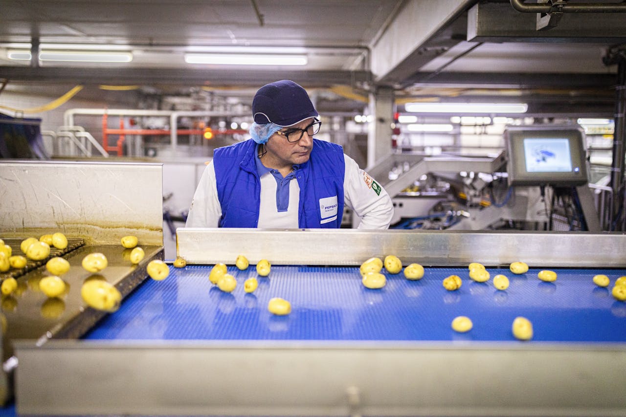 Een medewerker van PepsiCo in Broek op Langedijk checkt of de aardappelen geen mankementen bevatten.
