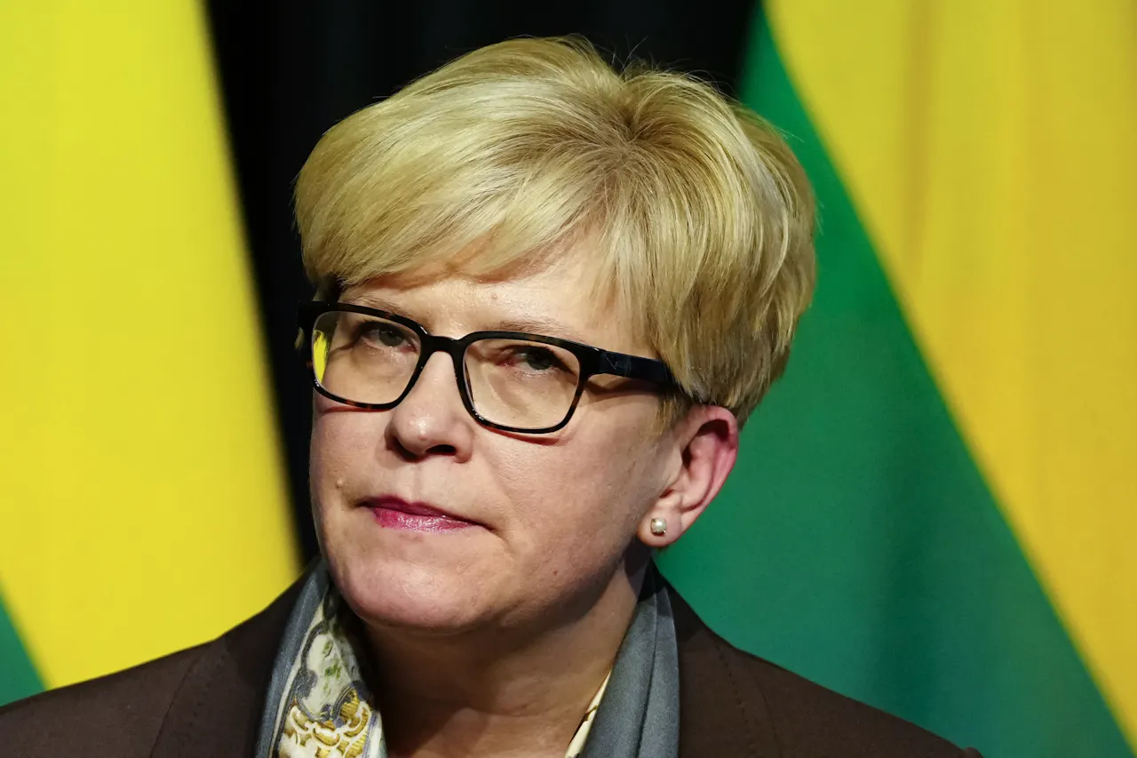 'De geschiedenis is vele eeuwen erg wreed voor Litouwen geweest'