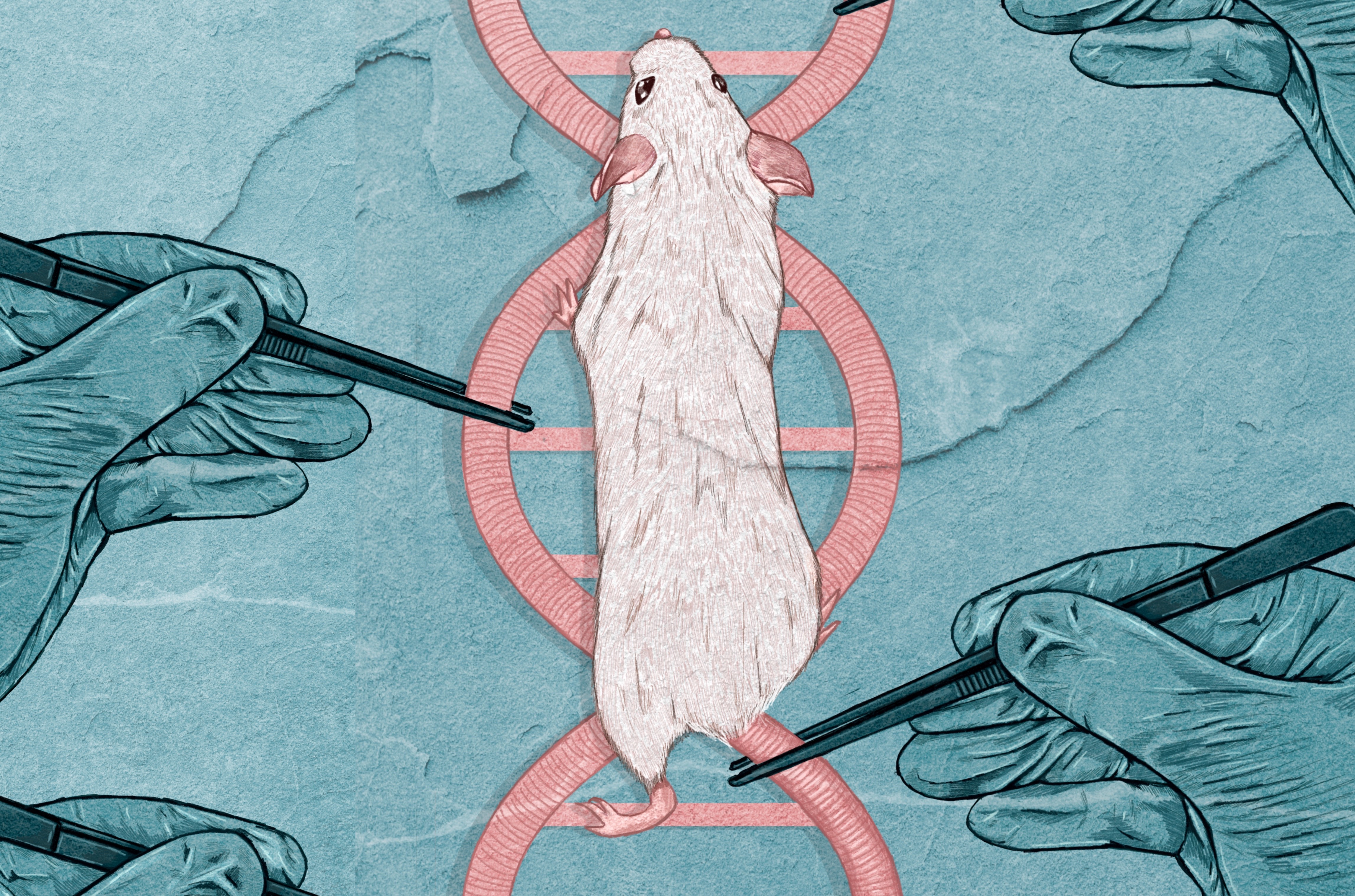De muis van $8 mrd: hoe Merus een baanbrekend medicijn ontwikkelde