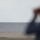 Boot Schiermonnikoog