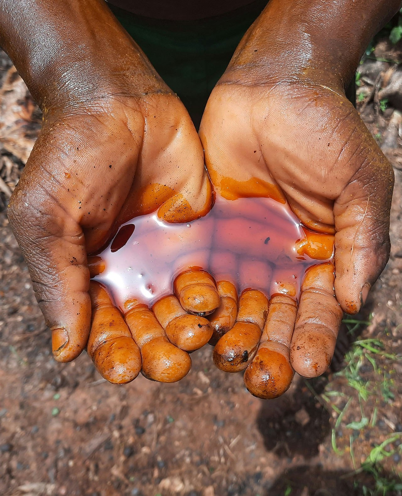 Palmolie, in dit geval op de traditionele manier gewonnen. De oliepalm komt in het wild voor in Liberia en de olie wordt al heel lang lokaal gebruikt. Pas de afgelopen decennia nam de industriële toepassing een grote vlucht, en daarmee de aanleg van de plantages.