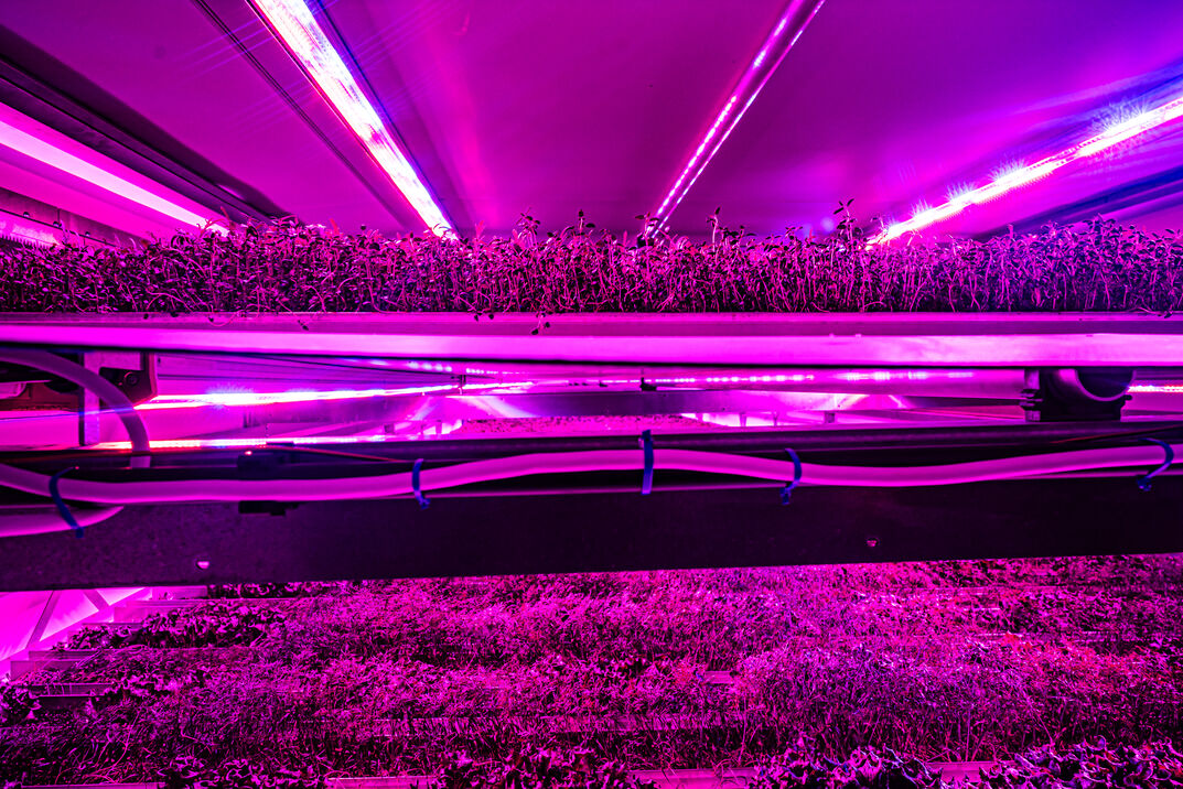 Investeerders op Wageningse beurs zijn ‘huiveriger’, merken start-ups in landbouwtech
