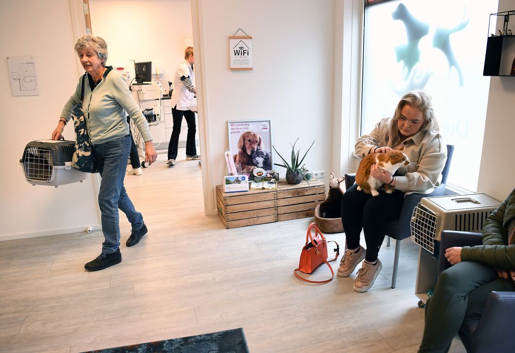Geen bonussen en winstprikkels meer: kabinet wil kosten dierenarts drukken