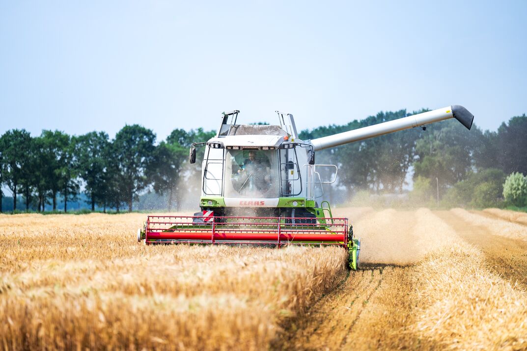 EU verruimt de weg voor genetisch bewerkte gewassen
