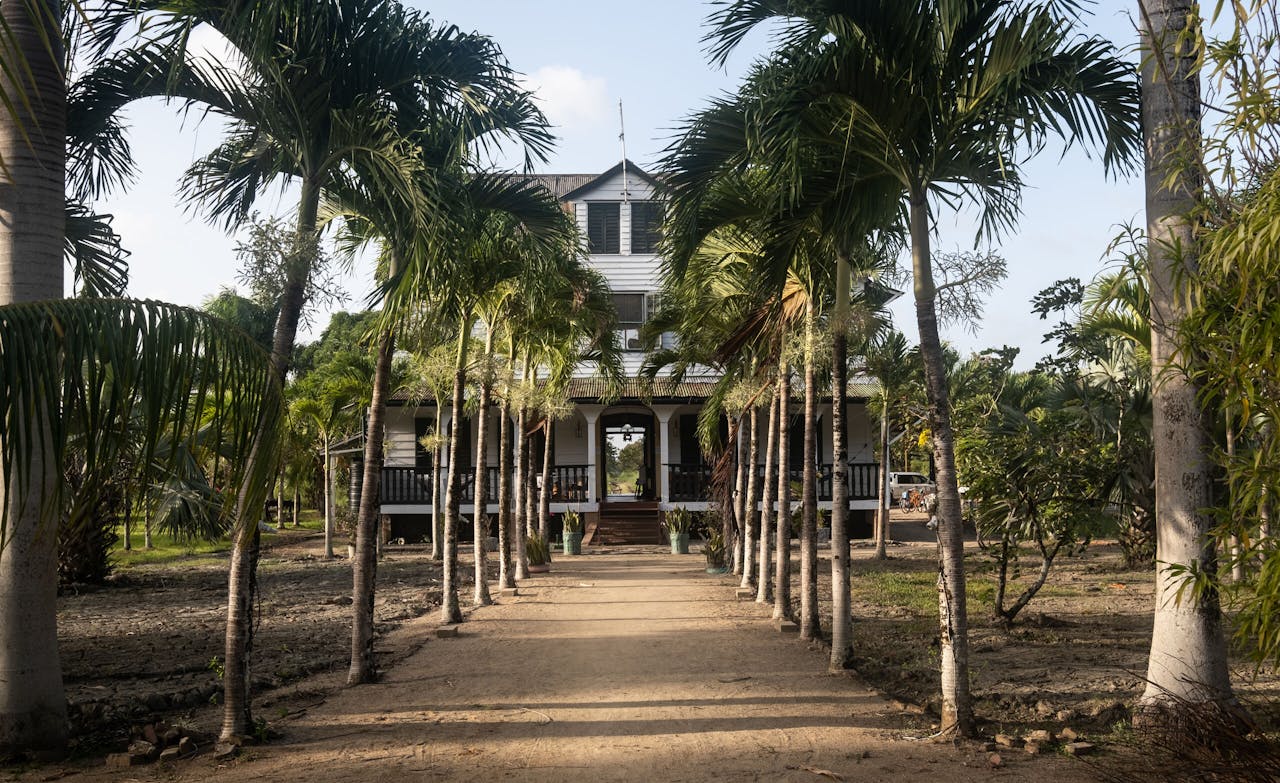 Plantage Mariënbosch in Suriname. Een groot deel van de bestuurders had bij de oprichting van DNB belangen in de trans-Atlantische slavernij en slavenhandel, blijkt uit historisch onderzoek.