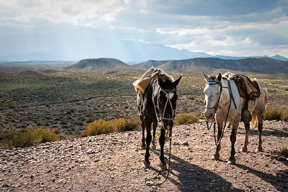 Te paard door het Andes-gebergte.