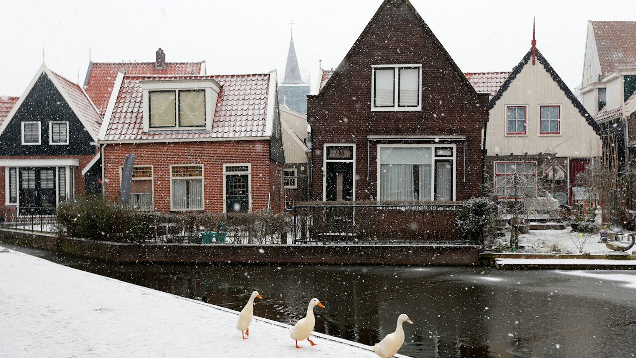 KNMI geeft code rood af voor zondag wegens winterweer, GGD's staken ...