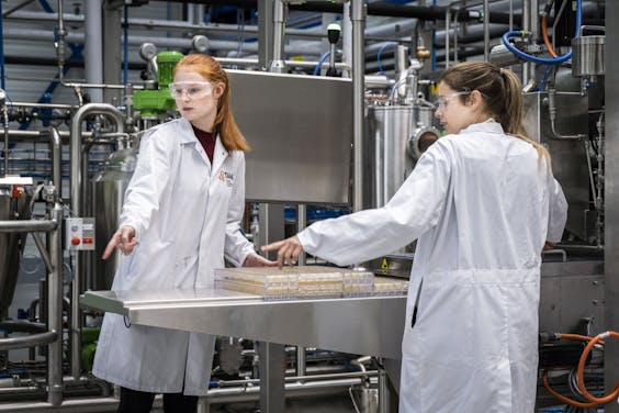 Tanis Confectionery maakt machines, productielijnen en recepten voor snoepfabrikanten. Het bedrijf wil de komende jaren groeien van €60 mln naar €100 mln omzet.
