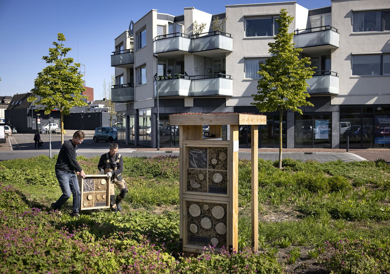 Installatie van een bijenhotel van Bijenhotelkopen.nl in Boxmeer. De sociale onderneming bouwt en plaatst jaarlijks honderden bijenhotels.