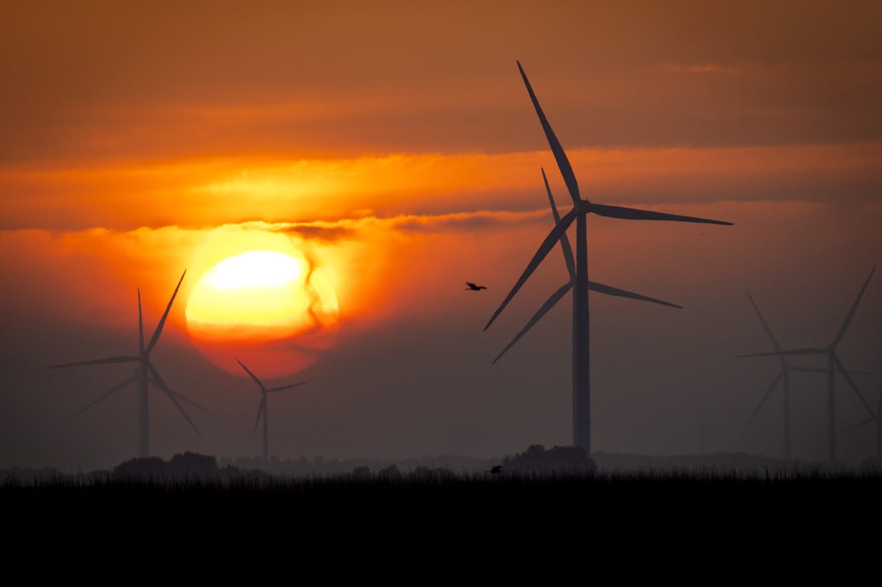 Bij een rente van 3% blijven veel investeringen in windturbines rendabel, al zakt de winst wel.