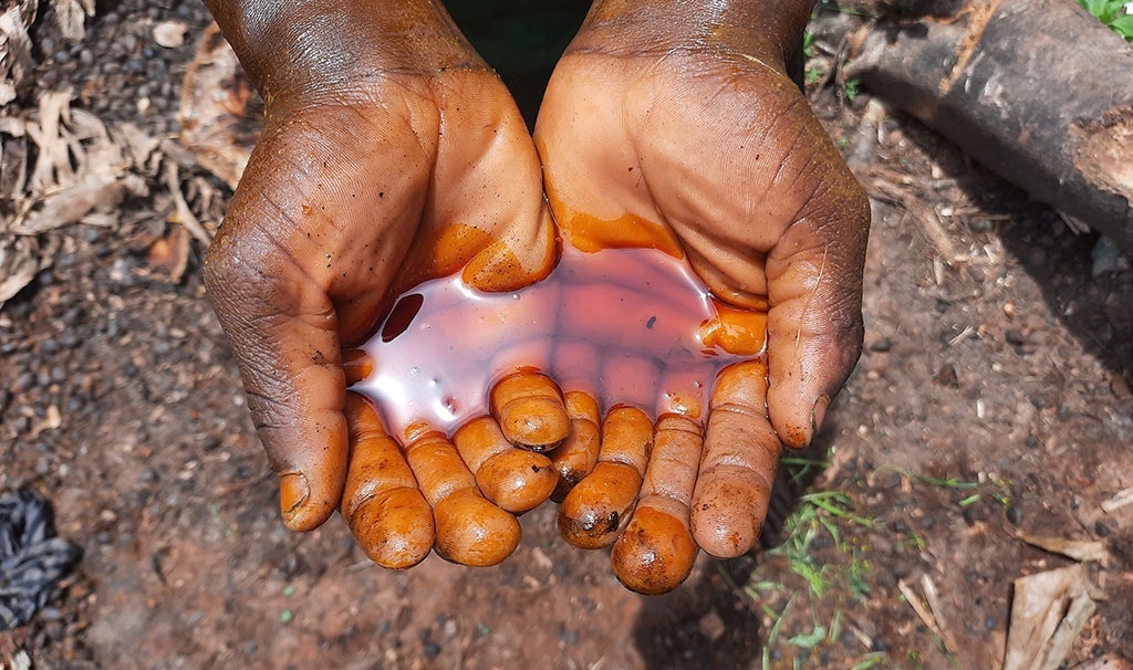 Palmolie, in dit geval op de traditionele manier gewonnen. De oliepalm komt in het wild voor in Liberia en de olie wordt al heel lang lokaal gebruikt. Pas de afgelopen decennia nam de industriële toepassing een grote vlucht, en daarmee de aanleg van de plantages.
