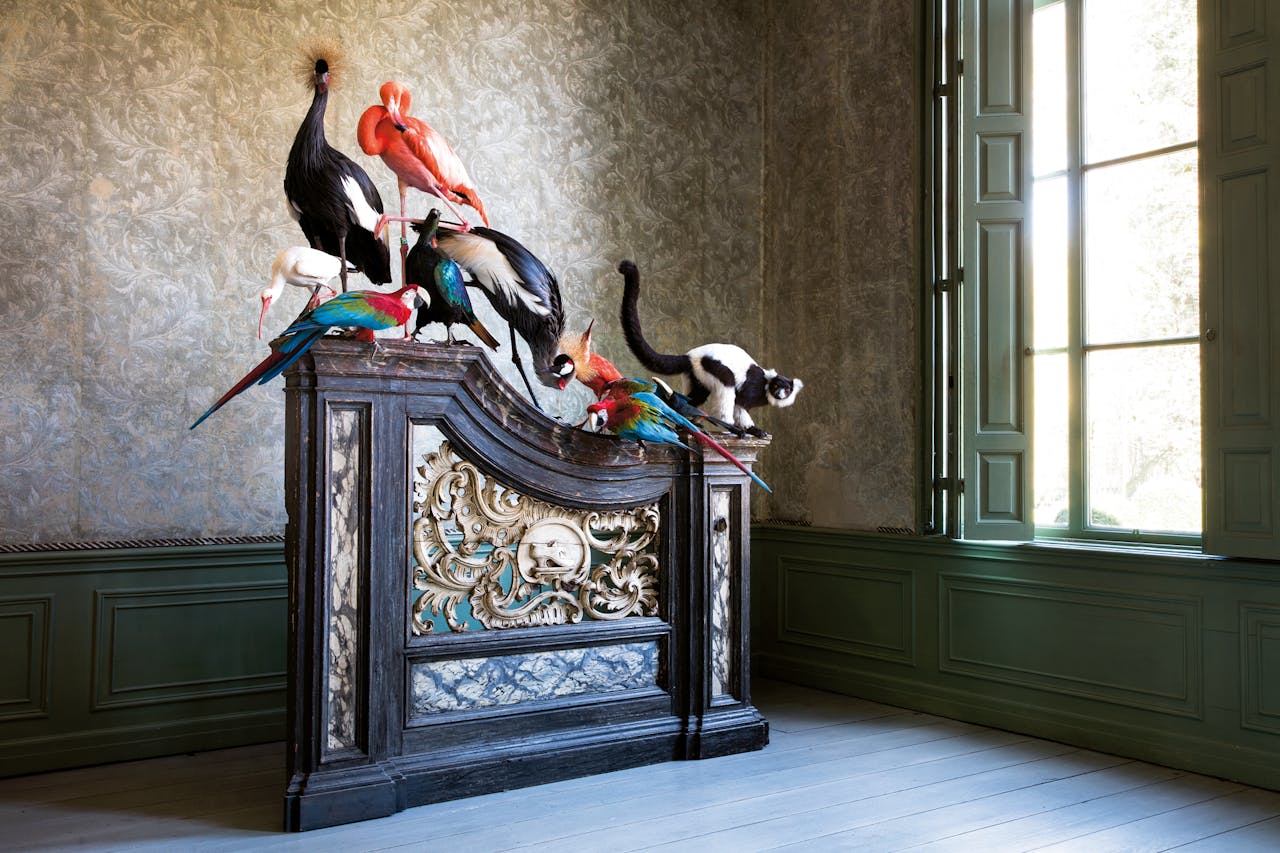‘Enraged Vari according to d’Hondecoeter’, 2016, is geïnspireerd op de dierenschilderijen van Melchior d’Hondecoeter
(1636-1695).