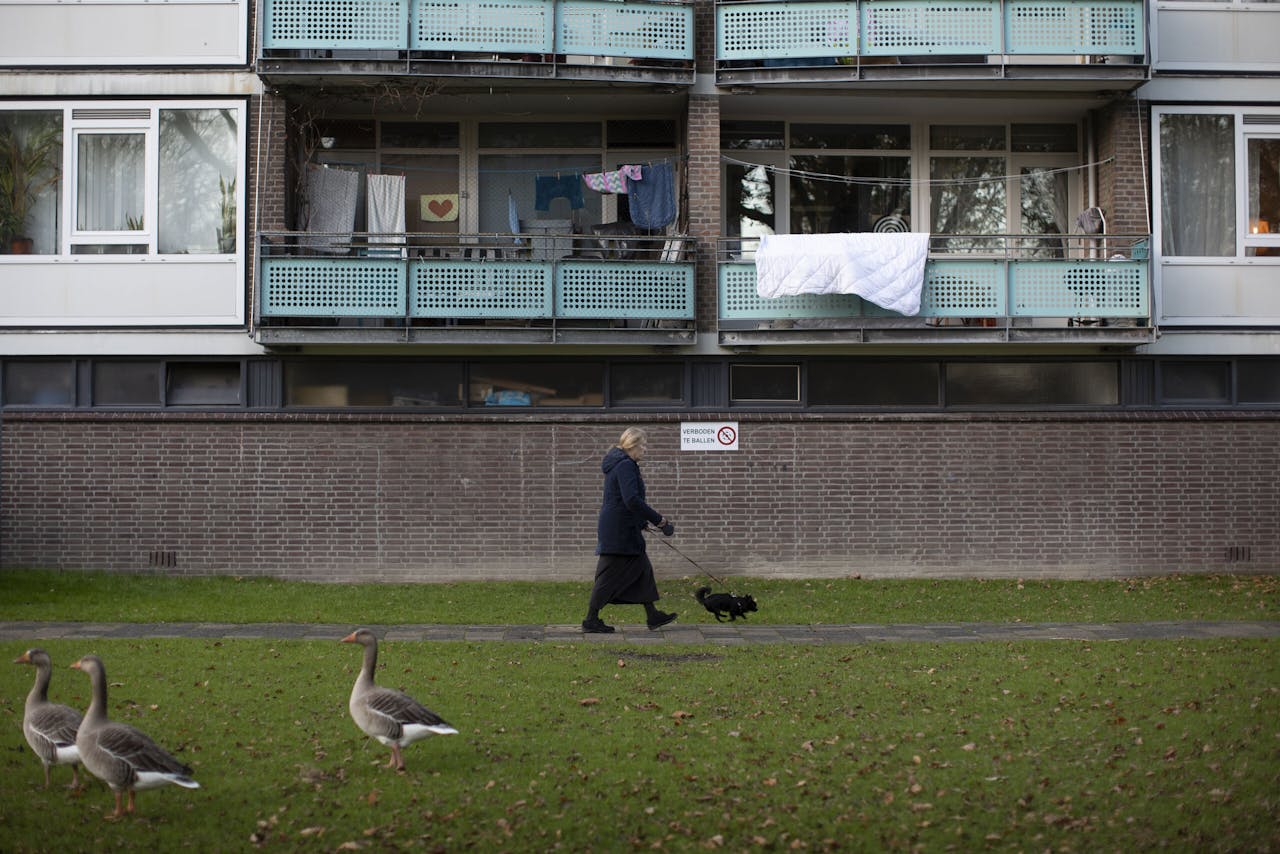 Woningen van Vestia een de Asserweg in Rotterdam. De corporatie heeft opnieuw geld nodig vanwege torenhoge rentelasten.