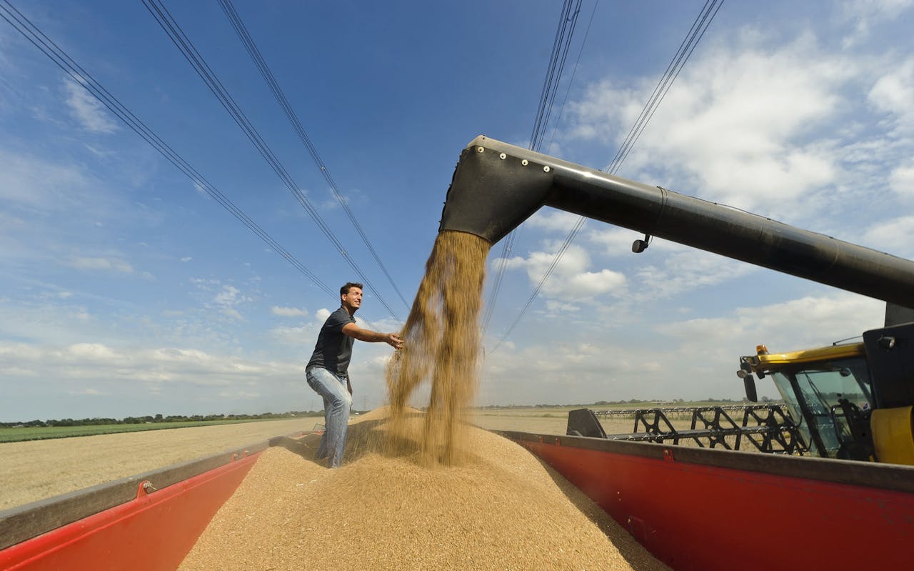 depotbanken nederland The local banks were facilitated by Rabobank Nederland to serve their customers,  Employees of the group did not routinely speak of a headquarters but preferred to speak of Rabobank Nederland,