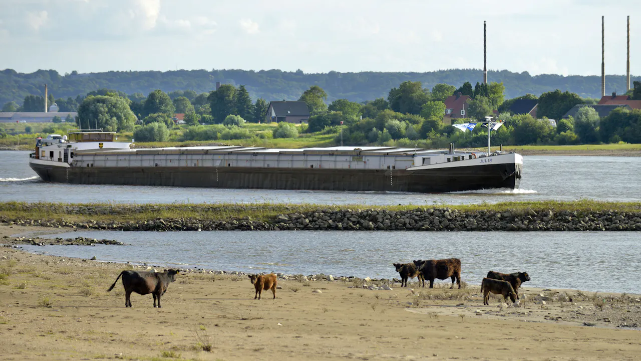 Gedaalde waterstand maakt vervoer over de Rijn duurder
