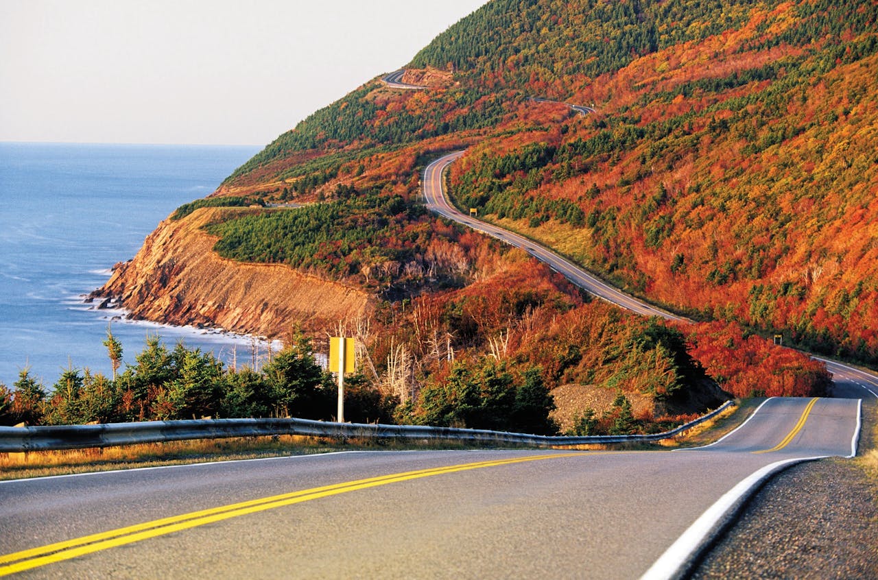 Op de Canadese Cabot Trail kun je walvissen, elanden en Amerikaanse zeearenden tegenkomen.