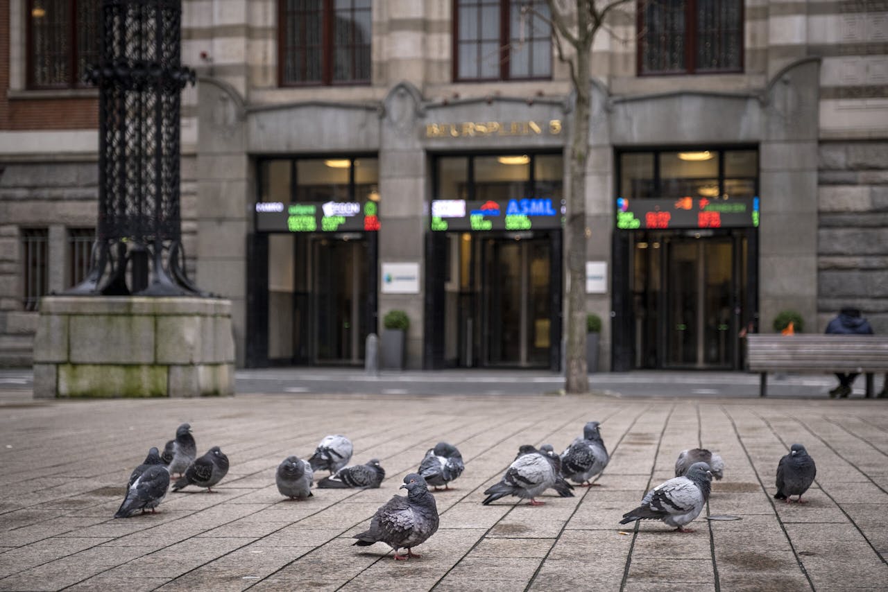 Alle duiven op ... het Beursplein in Amsterdam.