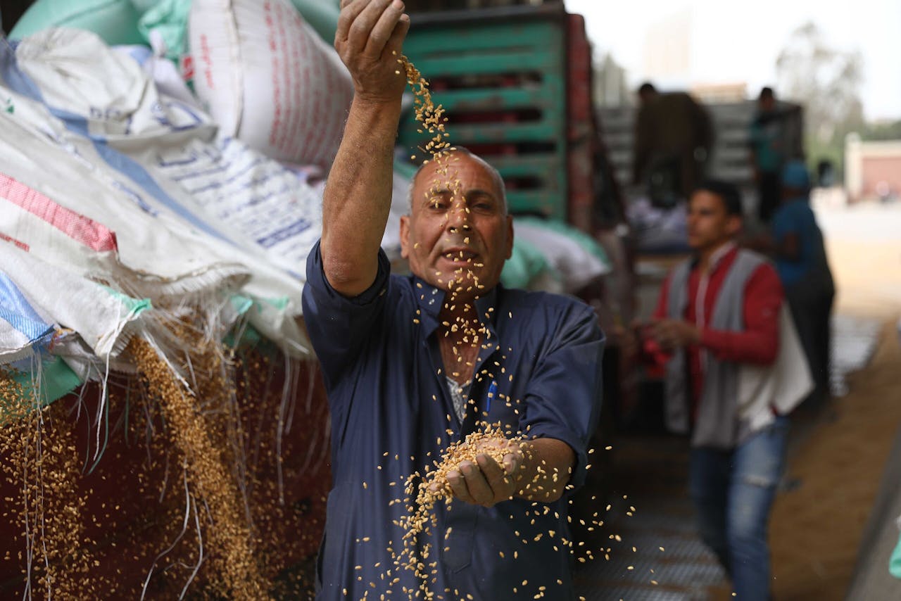 Een Egyptische man laat graan zien in de stad Banha, ten noorden van Caïro. Minister-president Mostafa Madbouly verzekerde de bevolking dat het land genoeg voorraad heeft voor de komende vier maanden.