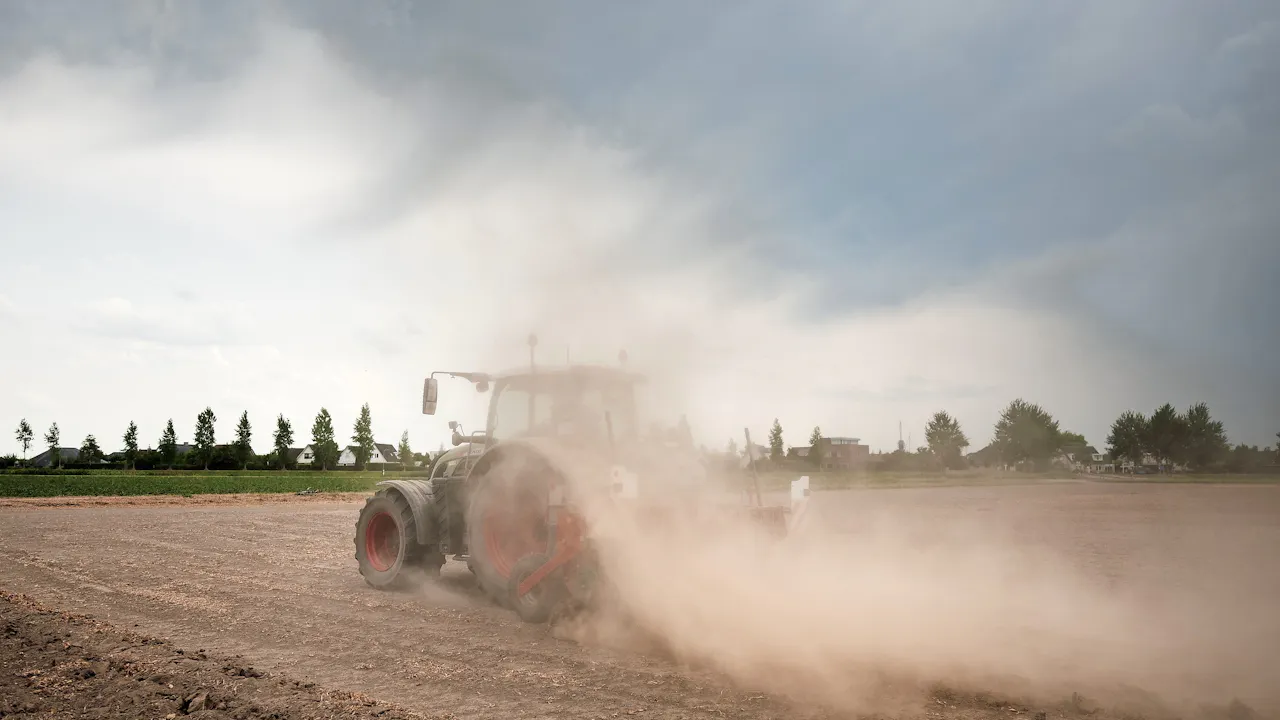 Deze Zomer Wordt Echt Anders