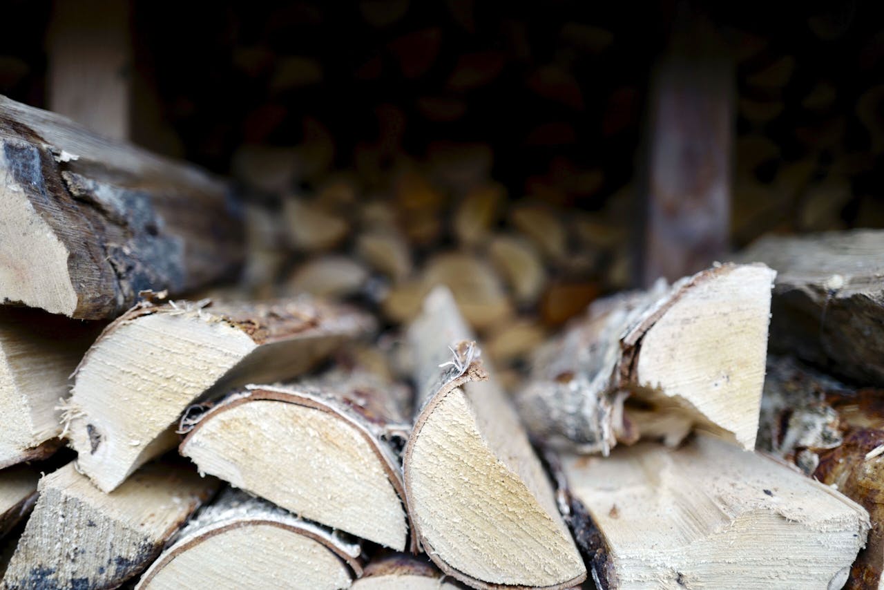 Volgens het RIVM is de houtstook goed voor bijna een kwart van de fijnstofuitstoot in Nederland.