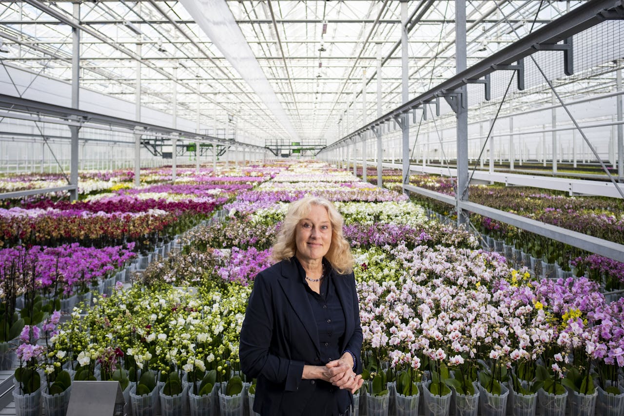 'Deze hele topsector dreigt onderuit te gaan', waarschuwt voorzitter Adri Bom-Lemstra van Glastuinbouw Nederland in de kas van een bloemenkweker uit haar achterban.