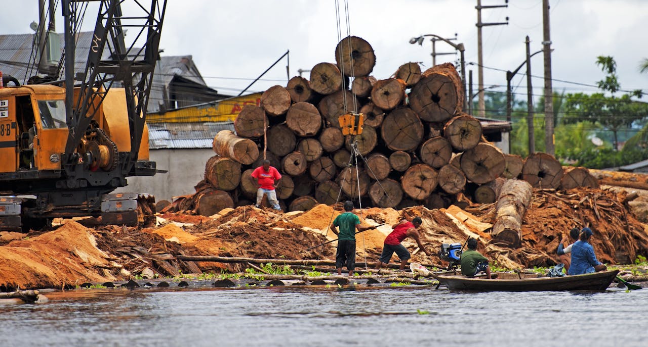 De 'anti-wegkijkwet' moet bijvoorbeeld het gebruik van illegaal gekapt hout, zoals hier in Brazilië, onmogelijk maken voor Europese bedrijven.