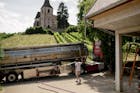 Franse regering schiet wijnboeren te hulp