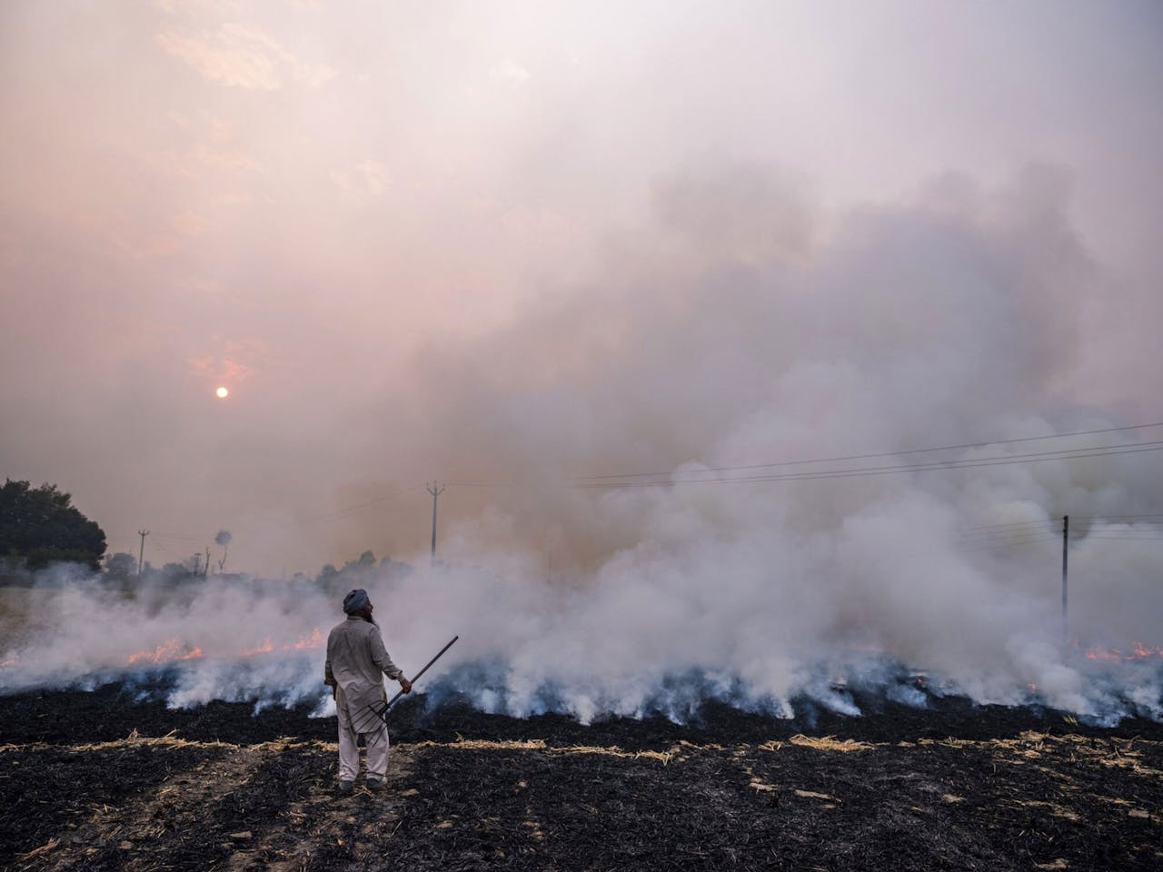 Een boer ziet toe op het verbranden van rijststro in de regio Punjab. Branden als deze zorgen in het najaar voor 25% van de luchtvervuiling in Delhi.