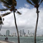 Miami: de peilstok van Amerika