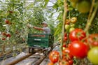 Oorlog drijft wig tussen EU-lidstaten over vergroening van landbouwsector