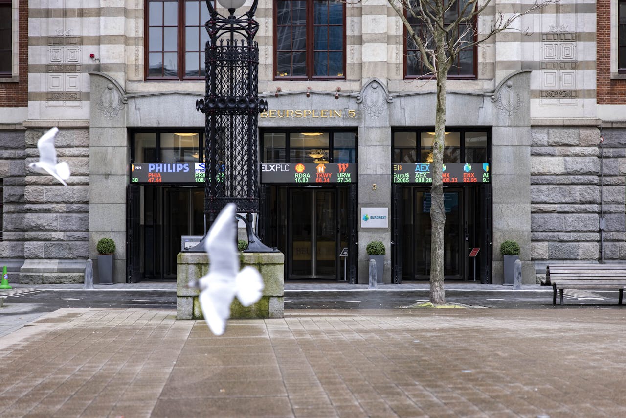 De meeuwen hebben het Beursplein voor zichzelf.