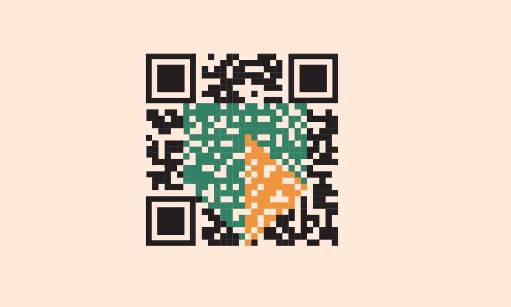 Betaalapp Tikkie wijst de weg in het QR-oerwoud