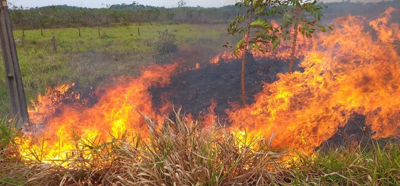 Boeren hebben een stuk land in brand gestoken in het Amazonegebied.